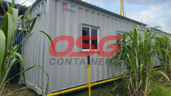 A shipping container office with windows and vegetation.
