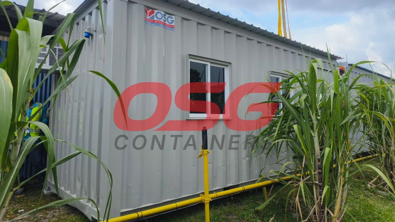 A shipping container office with windows and vegetation.