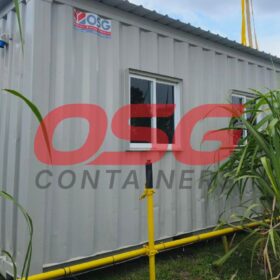 A shipping container office with windows and vegetation.